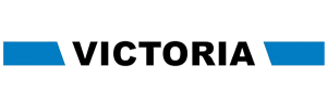 Icon Vitoria